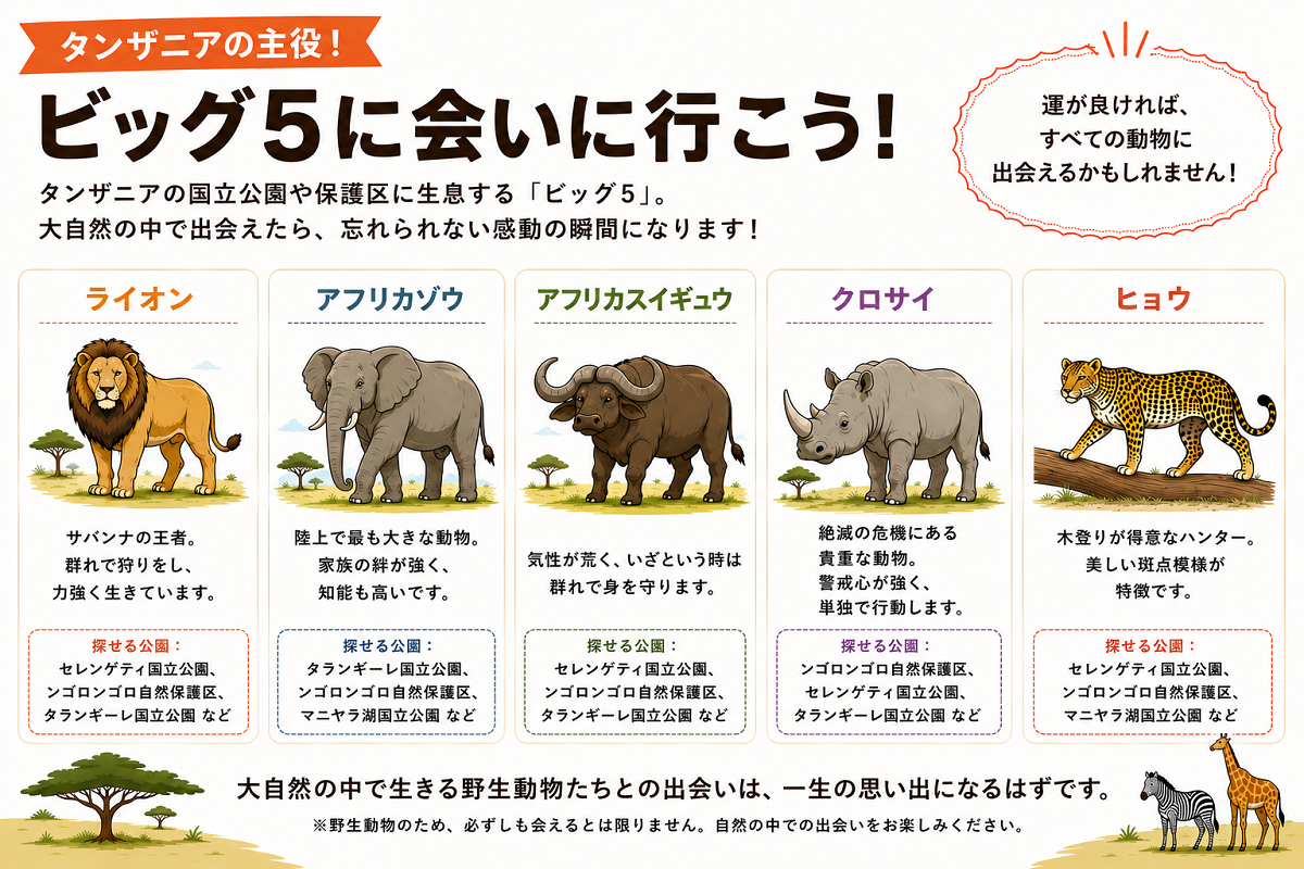 big5のイラスト