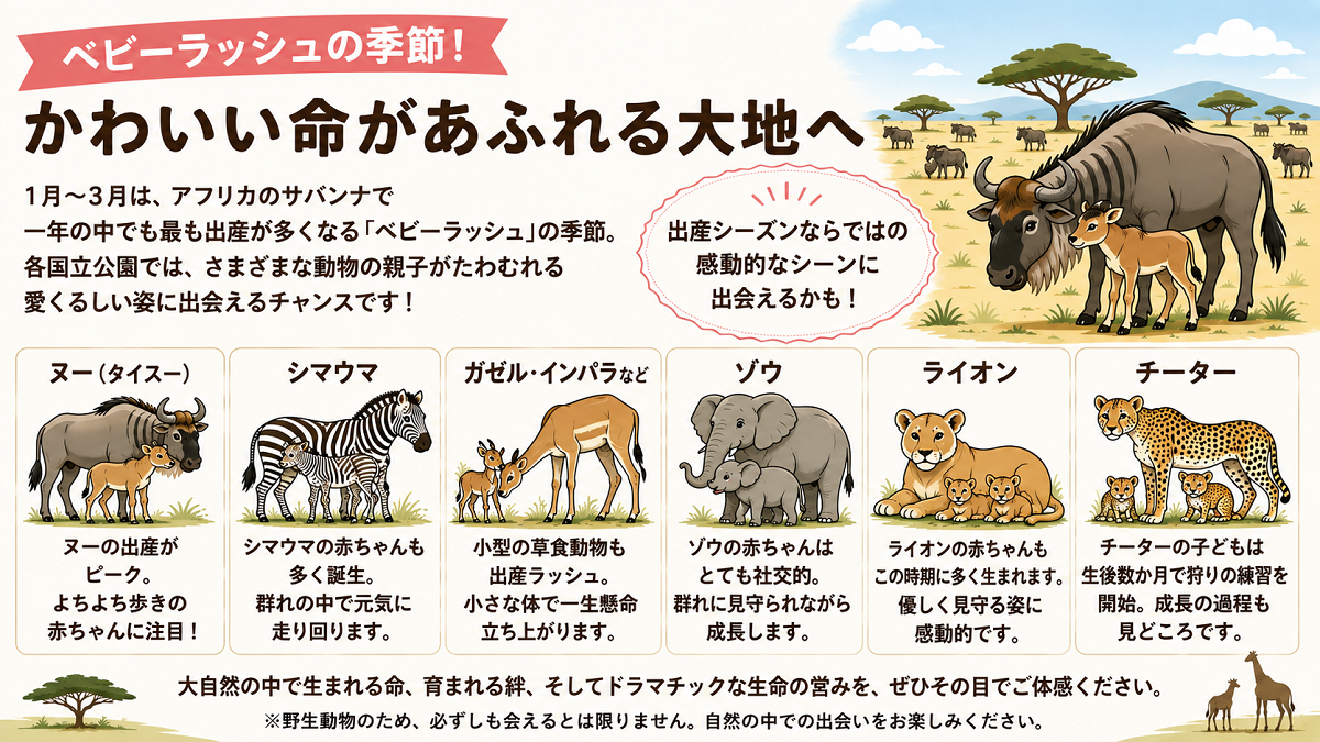 ベビーラッシュ