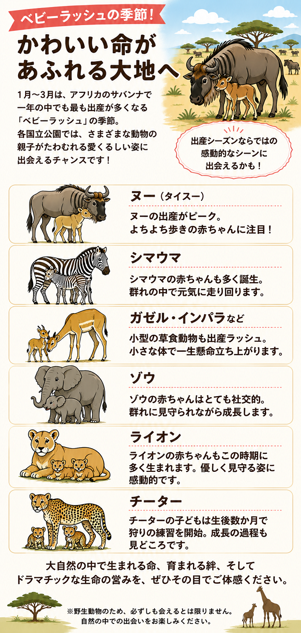 ベビーラッシュ