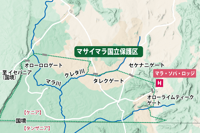 ベビーラッシュ