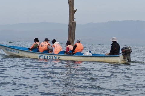 ウォーキングサファリ