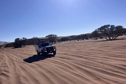 サンドウィッチハーバー