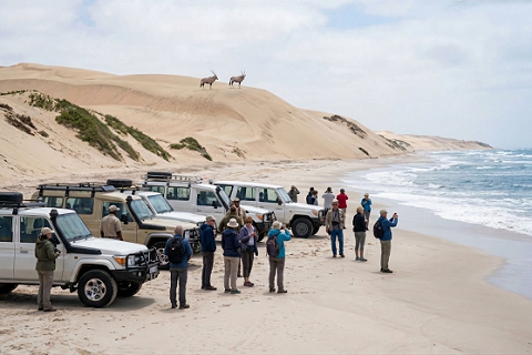 サンドウィッチハーバー