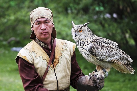 伝統の鷹匠のショー