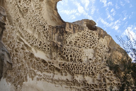 キャンプのイメージ／設営場所は状況により変わります