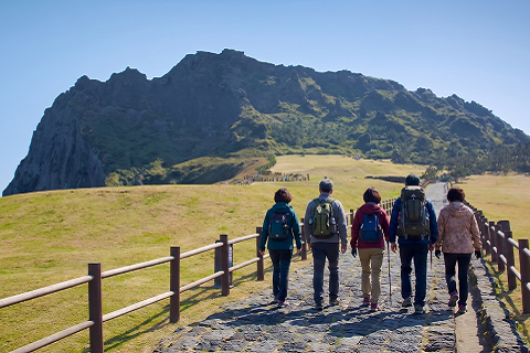 整備された登山道
