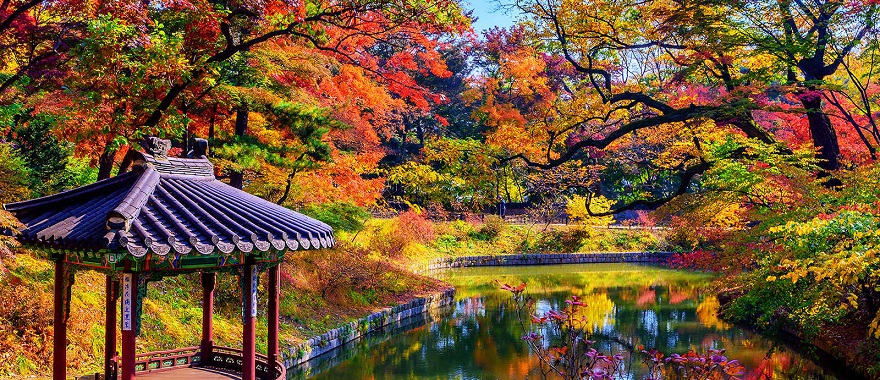 昌徳宮（ソウル）