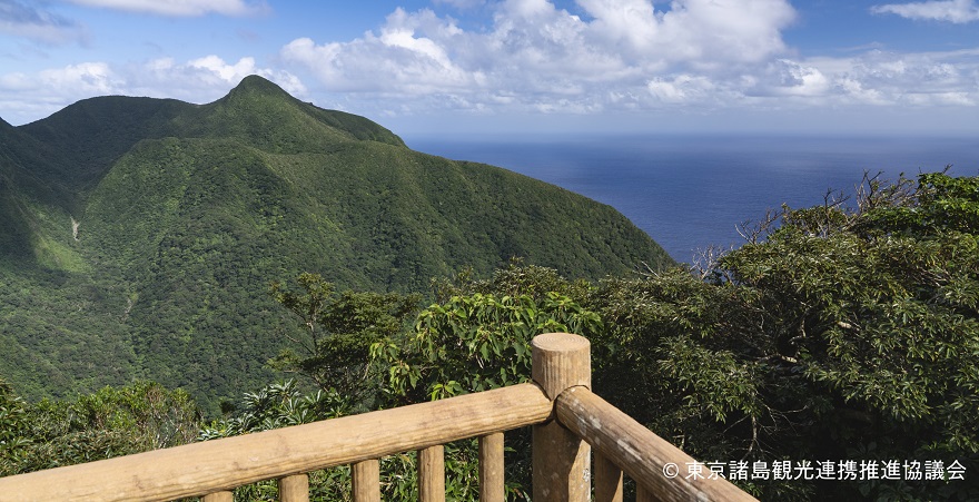 御蔵島、乙女峠展望台からの眺望