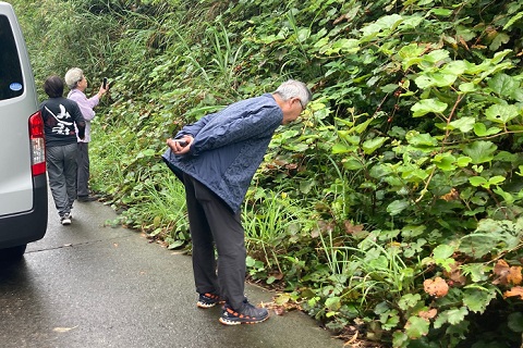 塩手鼻