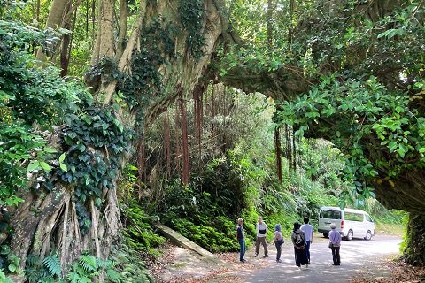 籠港