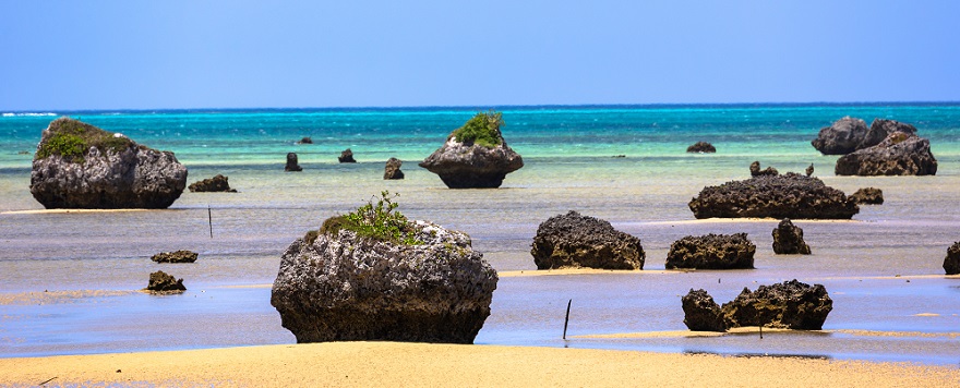 佐和田の浜