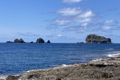 沖合に浮かぶ御積島