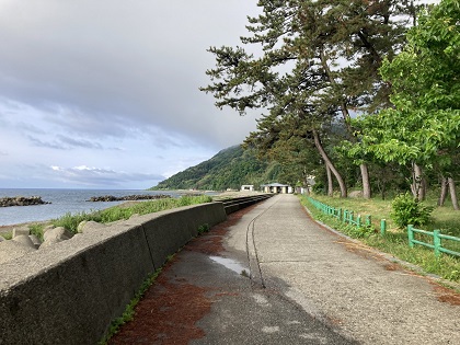 野馬公園前の道