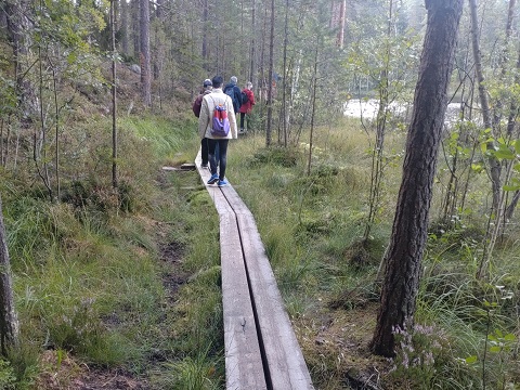 プナリンタトレイル