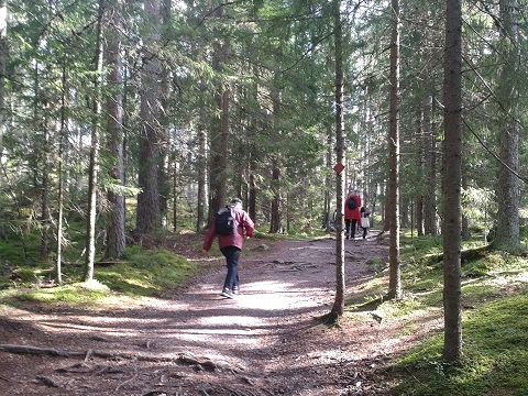 プナリンタトレイル