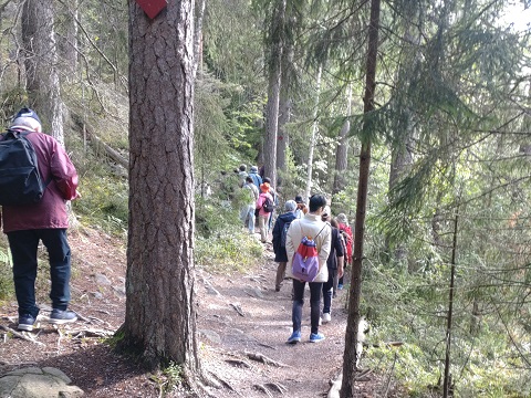 プナリンタトレイル