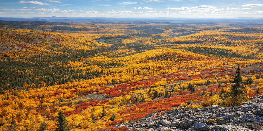 ピュハルオスト国立公園