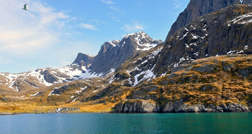 セブンシスターズ