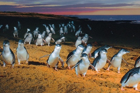 フリーマントルの街