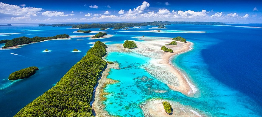 パラオの海