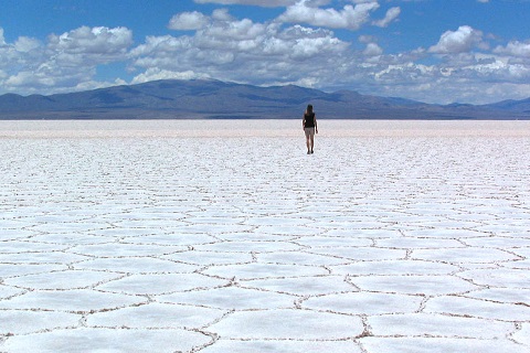 塩湖サリナス・グランデ