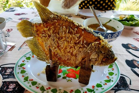 メコン河名物のエレファントフィッシュ