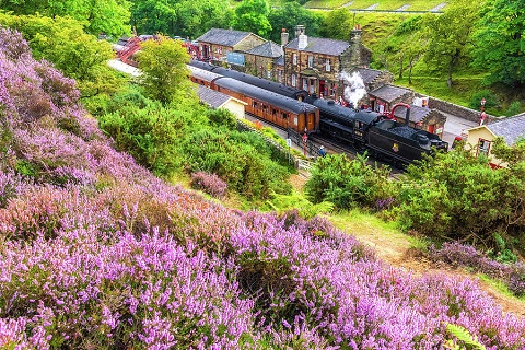 ノース・ヨーク・ムーアズ鉄道とヒース