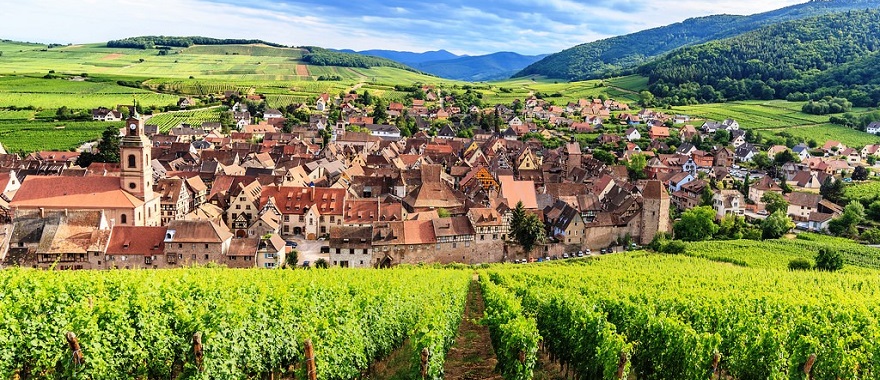 緑のリクヴィール